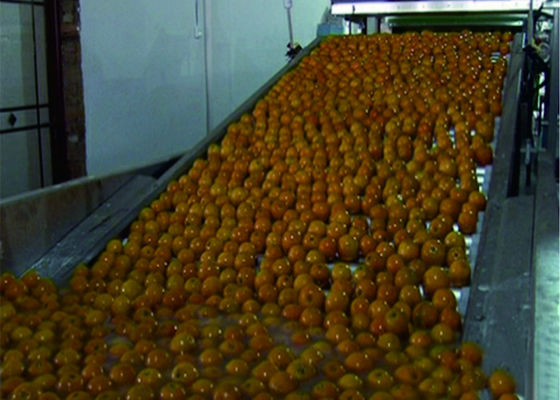 Trung Quốc Dây chuyền sản xuất hoa quả thông minh Hệ thống băng tải tự động nhà cung cấp