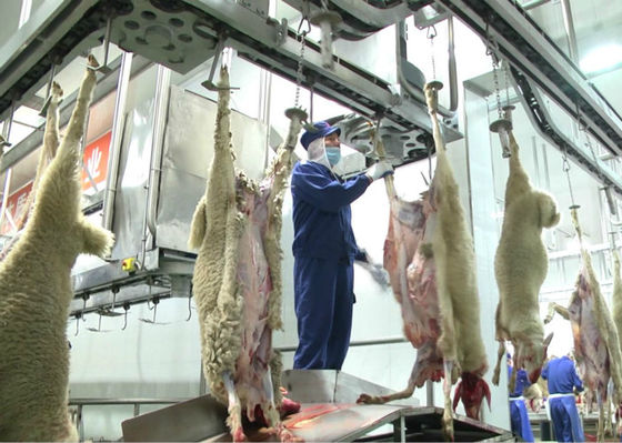 Trung Quốc Lamb Split Meat Production Line, dây chuyền sản xuất công nghiệp Tiếp tục chế biến nhà cung cấp