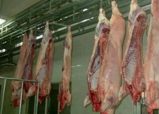Trung Quốc Thịt gia cầm Thịt gia cầm Thịt giết mổ Hệ thống điều khiển PLC nhà cung cấp