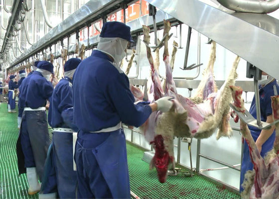 Trung Quốc Thịt cừu dê Chia dòng sản xuất thịt giết mổ vận chuyển toàn bộ loại chế biến nhà cung cấp