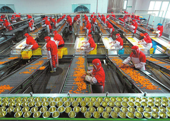 Trung Quốc Dây chuyền sản xuất thực phẩm đóng hộp, thiết bị chế biến trái cây và rau quả nhà cung cấp