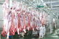 Thịt bò xẻ thịt Sản xuất dòng / dây chuyền chế biến 100-300 Gia súc / giờ tốc độ nhà cung cấp