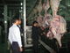 Thịt bò xẻ thịt Sản xuất dòng / dây chuyền chế biến 100-300 Gia súc / giờ tốc độ nhà cung cấp