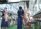 Lamb Split Meat Production Line, dây chuyền sản xuất công nghiệp Tiếp tục chế biến nhà cung cấp
