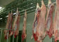 Thịt gia cầm Thịt gia cầm Thịt giết mổ Hệ thống điều khiển PLC nhà cung cấp