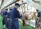 Thịt cừu dê Chia dòng sản xuất thịt giết mổ vận chuyển toàn bộ loại chế biến nhà cung cấp