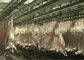 Thịt cừu dê Chia dòng sản xuất thịt giết mổ vận chuyển toàn bộ loại chế biến nhà cung cấp